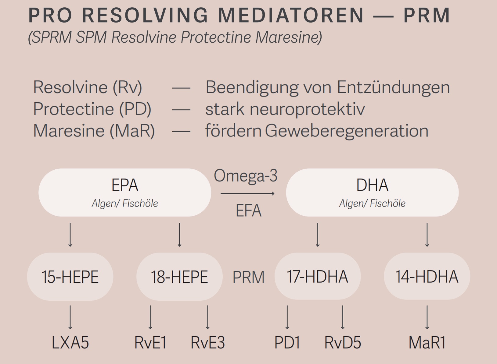 information zu pro resolving mediators